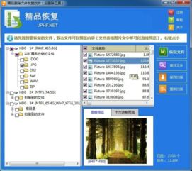2019年精品刪除文件恢復(fù)軟件電腦版官方下載指南與深度解析