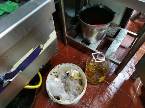 餐飲復工調查 積壓庫存引擔憂，服務安全需關注